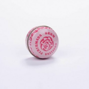 Brum Vaselina Perfumada 15gr